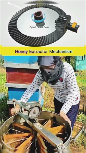 Spiral bevel gear in action How a Honey extractor use bevel gear for Smith rotation#shortsvideo