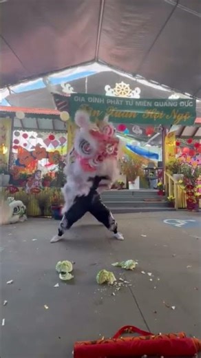 Troy Hong Kong Lion Dance Solo 2026
