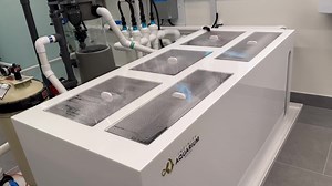 This is very high end filtration system, all intranet connections control 5C , temperature, all water quality digital report to your cell , durable electrical system protection, bio mechanical water exchange all automatic, top top inspire me lots of ideals !!! ❤️ | Barstow koi Farm