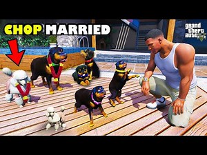 Franklin & Shin chan Found Chop’s Secret marriage and puppies in Gta 5 | Dhanu Dino
