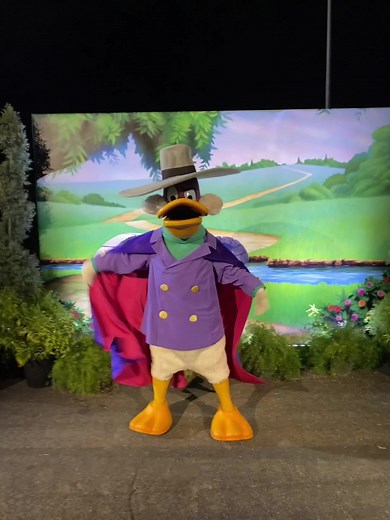 Some Disney Afternoon friends at the Walt Disney World Marathon Weekend! #DarkwingDuck #FatCat #MontereyJack #ChipnDale #LaunchpadMcQuack #ScroogeMcDuck #WDWHalf #DisneyAfternoon #Disney90s #WDWMarathonWeekend #DisneyDucks #RareCharacters #WaltDisneyWorldHalfMarathon #runDisney #WDW #WaltDisneyWorld #DrakeMallard #ませダークウィングダック #ChipnDaleRescueRangers #DuckTales #WDW10k #チップとデール #スクルージ #ランチパット #モンタリージャック