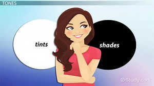 Tint in Colors | Definition & Appearance