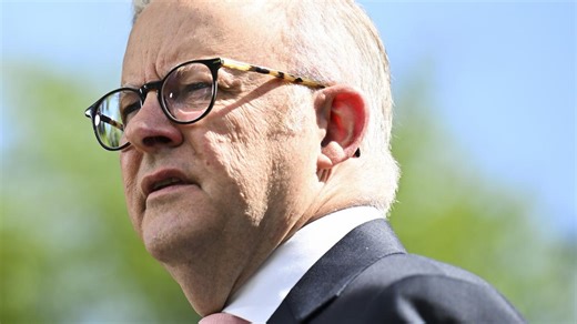 'Collective responsibility' Albo calls for unity in Aus Day message