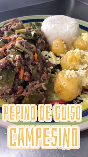 PEPINO DE GUISO CAMPESINO 😊 Hoy les preparé está receta 😏 con pepino de guiso en la finca lo comíamos sin carne, este platillo es el princiopio es decir un acompañamiento de los platos corrietazos colombianos 🇨🇴 es muy delicioso 😋 y nutritivo. Espero lo preparen Abrazos saludos a todos 😊 #pepinodeguisocampesino #pepinodeguiso #recetas #cocinandoconpati #recetas #Instafood #recipes #eat #food | Patricia Quintero