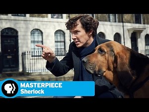 SHERLOCK on MASTERPIECE | Season 4: Gone to the Dogs | PBS