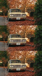 Say Konnichiwa to Japanese plates. New optional plate series is available now 🇯🇵 | Transport WA