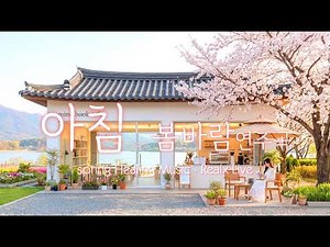 🌸 [Heart Library] ☕ Sparkling Lake & Fragrant Coffee Comfort | 🔴Live Healing Music