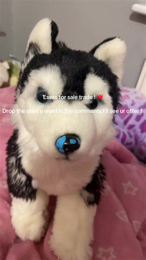 Drop em in the comments if u want to offer ! Don’t scam if trading