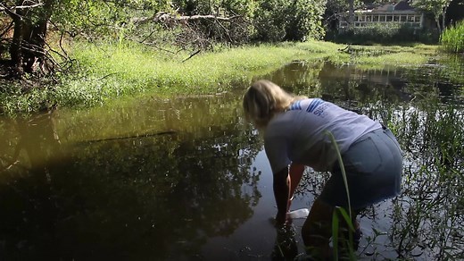 Surfrider Foundation believes that everybody deserves access to clean water to surf, swim, and play in. The Blue Water Task Force (BWTF) is Surfrider’s citizen science water testing program that provides critical water quality information to protect public health at the beach. | Surfrider Foundation
