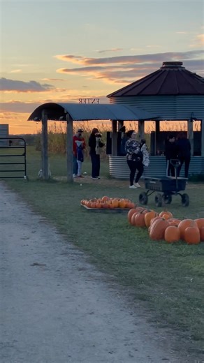 Haunted 🌽 Maze from 6-9pm tonight! Food trucks and fun! | Shively Farms
