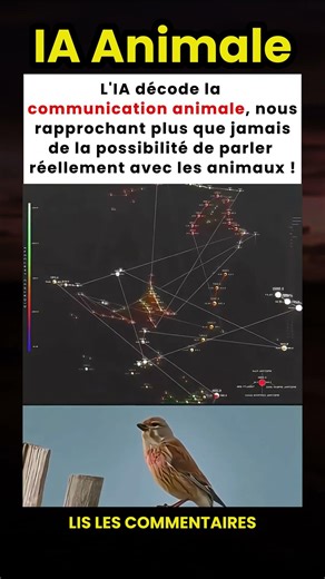 L'IA décode la communication animale pour « parler » avec eux ! 🧠🐦