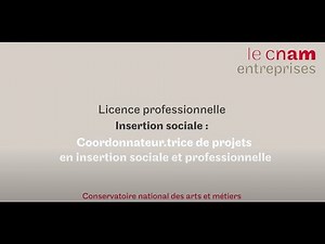 Devenir coordonnateur de projets en insertion sociale et professionnelle: par Maëlezig Bigi