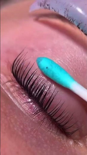 One V Salon Pro Lash Lift and Tint brow & lash dye incredible transformation step by step stunning