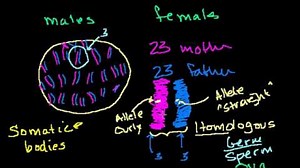 Variation in a species