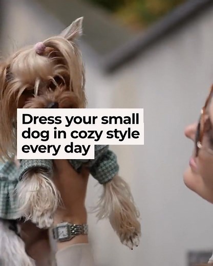 Cozy meets chic — your small dog's wardrobe just got an upgrade! Our sweaters are crafted to fit tiny breeds perfectly, blending soft comfort with stylish flair. Imagine your pup wrapped in warmth and turning heads on every walk. Ready to change your little companion's look and keep them snug? Let's make every day a cozy fashion moment! | Chowoah Accessories | Facebook
