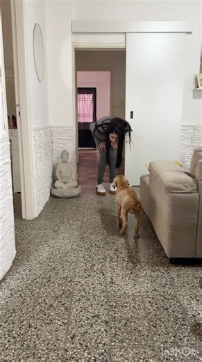 #humor #comedia #perros #hija