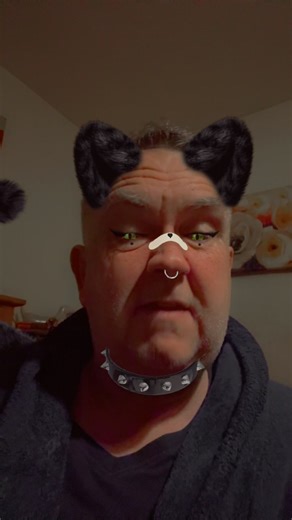 Simply the kitty #catman #boomer #diva #tune #easy