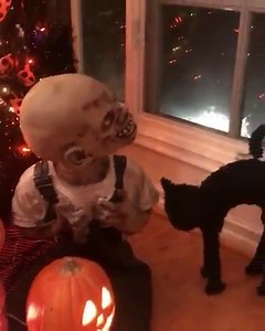 37K views · 3.5K reactions | My Halloween Tree!  I  this time of year! | Bridget Marquardt | Facebook