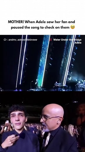 Adele Stopping Concert for Fan Interaction