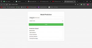 Real-Time Predictions: Deploying ML Model into a Webpage
