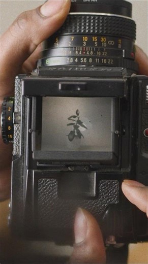 📸Medium format photography!! #filtergrade #photography #photographer #filmphotography #analof #film