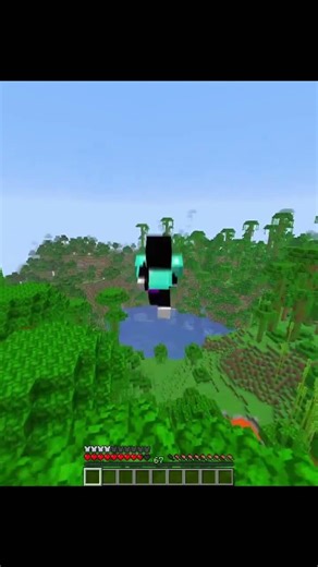 Minecraft Secret Commands Moment 💀