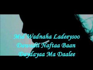 Daydayaa Ma Dalee (Lyrics) Magool.