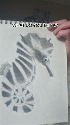 realistic seahorse drawing.learning to draw realistic animals #art #drawing #pencildrawing