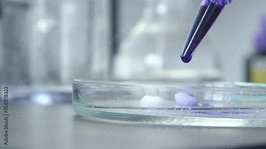 Scientific laboratory work. School Laboratory. Scientific project. Investigation of the dissolution of a substance using a liquid with a catalyst. Observing the reaction