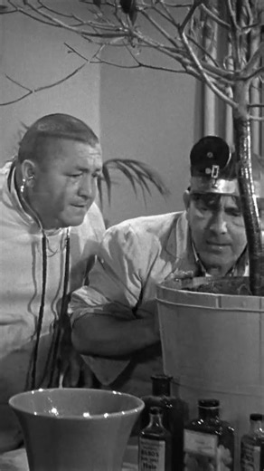 The Three Stooges Save The Trees