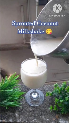 Sprouted Coconut Milkshake #shorts #short #shortsfeed #youtubeshorts #ytshorts #shortvideo