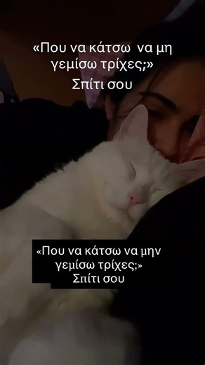 Σπίτι σου 😂 #κατοικιδια