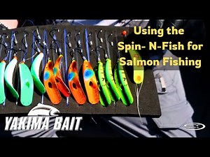 Salmon Fishing with the Yakima Bait Spin n Fish 3.0