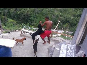 Doberman killing a guy