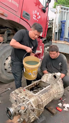 Behind the scenes at heavy-duty maintenance | Animal World