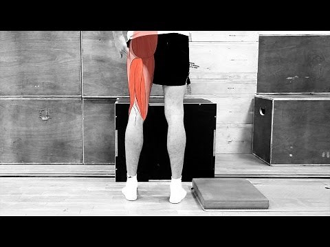 Hamstring Sliders- Eccentric Hamstring Exercise