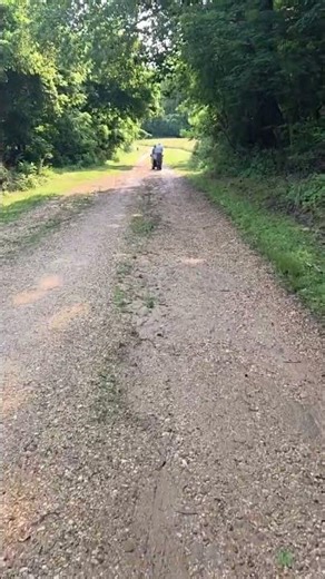 Would you ever volunteer on an archaeology site? I joined the Maryland Archaeology Society to dig