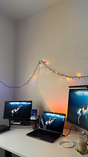 on Instagram: "The job description didn’t say it wasn’t allowed 😎 . . #programming #development #softwaredeveloper #interview #tech"