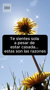 454K views · 11K reactions | #datospsicologicos #psicología #psicologia #psicologiaonline #psicologiaoscura #datos #datoscuriosos #datosquenosabias #datosinteresantes #reels #viralreels #reelsviral #virals #viralreelsシ #viralvideoシ #reelsvideoシ #reelsfacebook | Ren-ren | Facebook