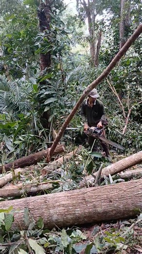Slow on Instagram: "The process of cutting wood using a mini saw machine #woodworking #chainsaw #foryou"