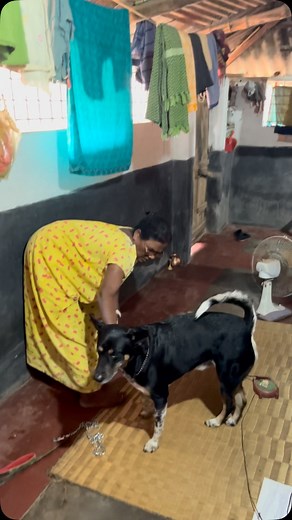 Hum log aise kar k loute ghar se itna sara saman le k, maa baba jaldi humlogo k pass aana , humlogo ko chutti milega to hum log v jaldi jayenge🌷🌻 | Mala Mandi