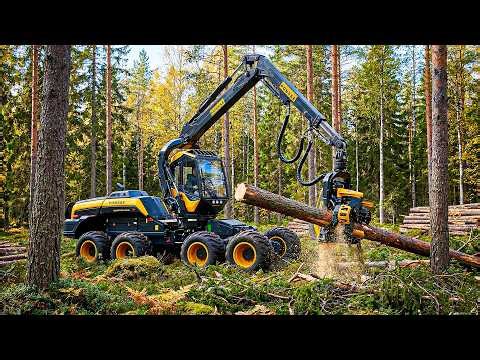 THE BIGGEST LOGGING MACHINES EVER BUILT — FOREST GIANTS!