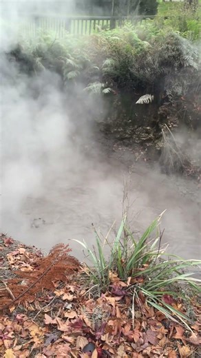 Hot springs Rotoroa New Zealand.