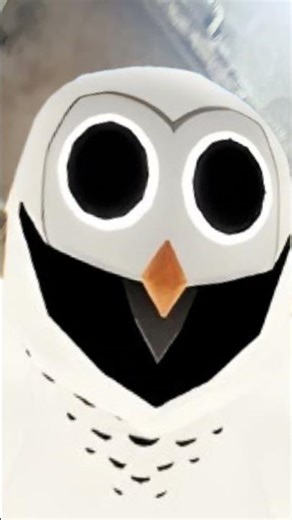 Eu postei esses vídeo de 99 mas só que eu não gosto