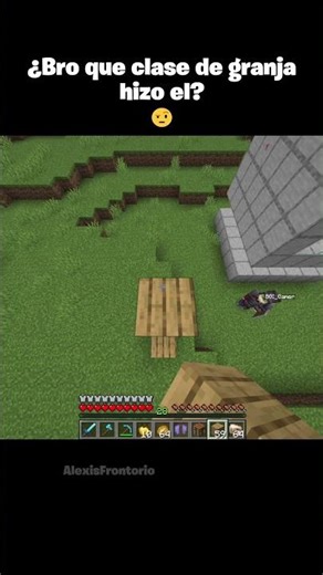 Bro what kind of farm did he make?