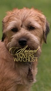 Calling all animal lovers. | Amazon MGM Studios