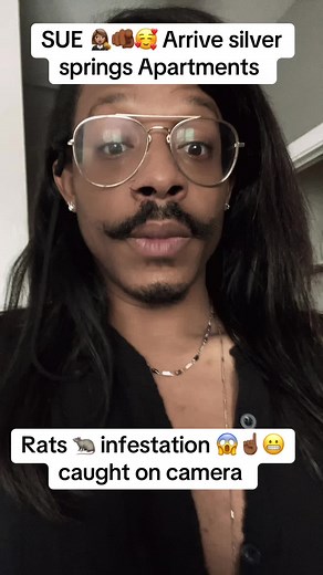 Rats Infestation at Arrive Silver Spring Apartments