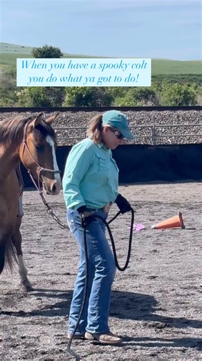 Debby | Horse Trainer on Instagram: "When you have a spooky horse don’t be careful just fling your arms, wave at the neighbors, act like a falling down drunk. The neighbors will think you’re insane but your horse will learn to accept the craziness. They will get over being spooky. #spookyhorse #horsefunny #horsetrainingvideos #myhorseisamazing #coltstarting #crazylady #scardycat #horsewoman"