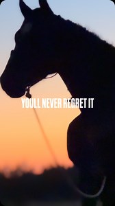 Bonner Bolton on Reels