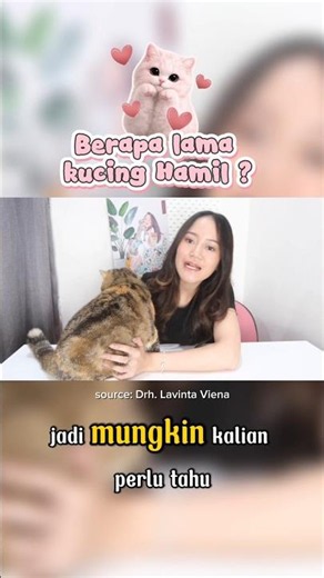 Berapa Lama kucing Hamil ? #cat #kucing #catlovers